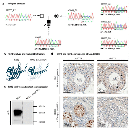 Figure 4: