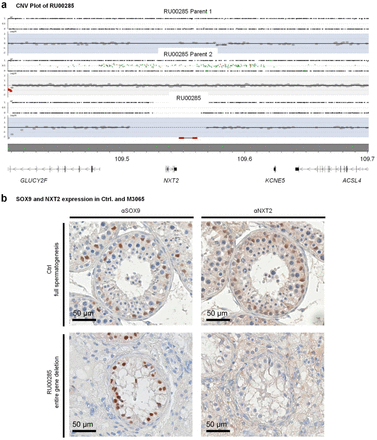 Figure 5: