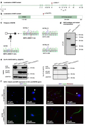 Figure 6: