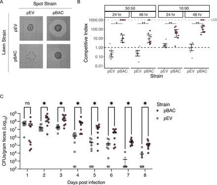 Figure 3: