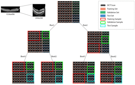 Figure 1: