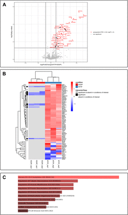 Figure 5: