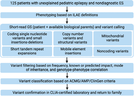 Figure 1: