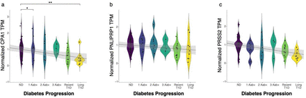 Fig. 4: