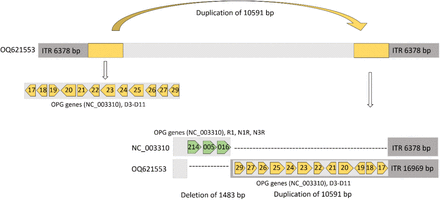 Figure S3: