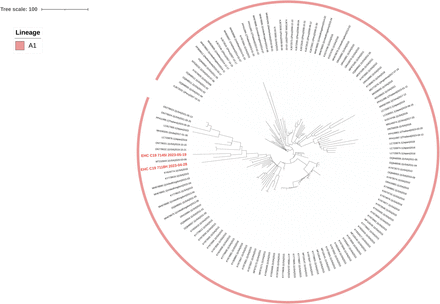 Figure 2: