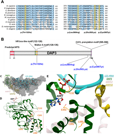 Figure 2: