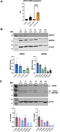 Figure 5: