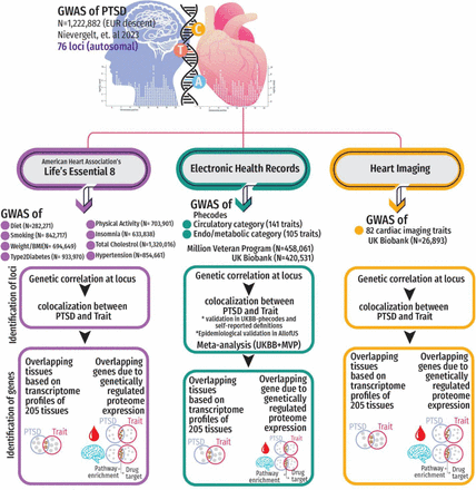 Figure 1: