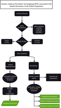 Figure 1: