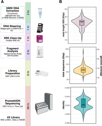 Figure 1: