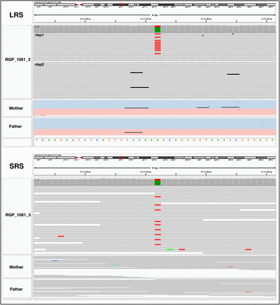 Supplementary Figure 5: