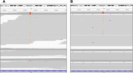 Supplementary Figure 7: