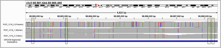 Supplementary Figure 10: