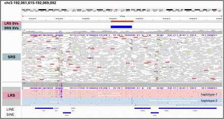 Supplementary Figure 12: