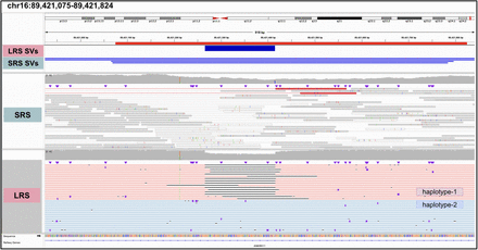 Supplementary Figure 14: