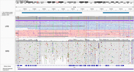 Supplementary Figure 2: