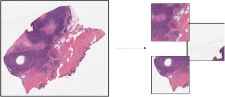 Figure 1: