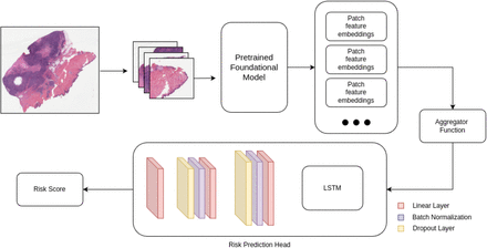 Figure 3: