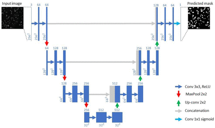 Fig 10.