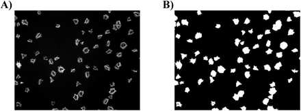 Fig 3.