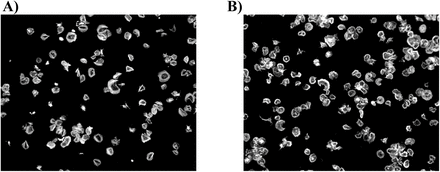 Fig 9.