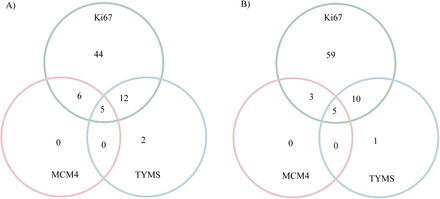 Supplementary Figure 6.