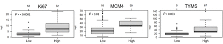 Supplementary Figure 7.