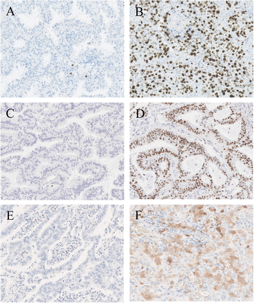 Supplementary Figure 3.