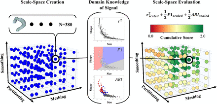 Figure 3: