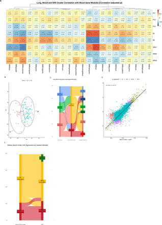 Figure 5: