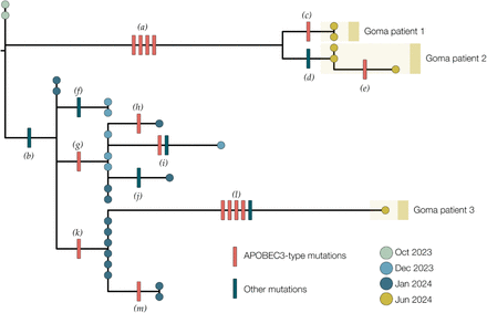 Figure 3: