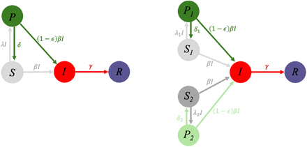 Figure 1: