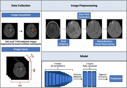 Figure 1: