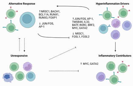 Figure 11: