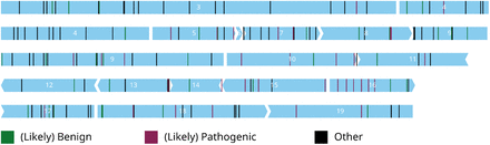 Figure 3: