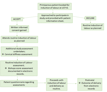 S2 Figure 2