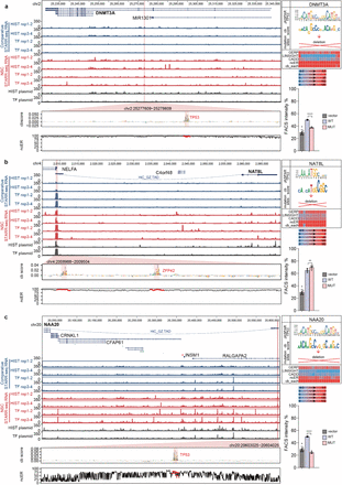 Extended Data Fig. 11: