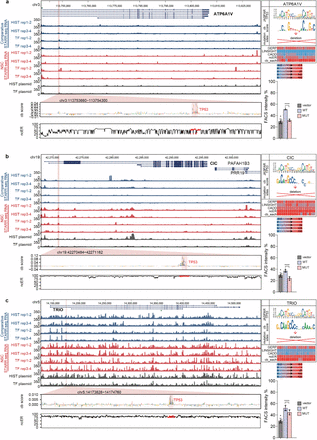 Extended Data Fig. 12: