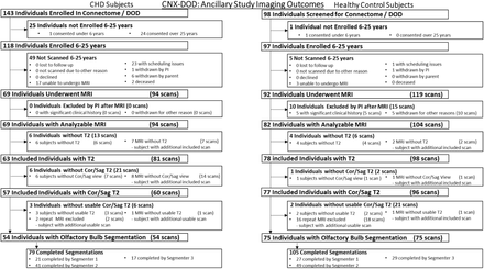 Supplemental Figure 1.