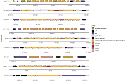 Figure 4.