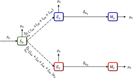 Figure 1: