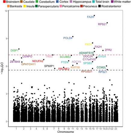 Figure 2: