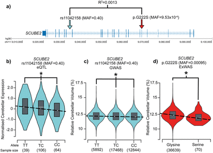 Figure 3: