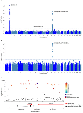 Fig. 2: