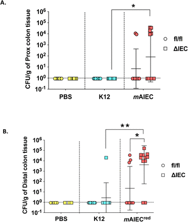 Supplementary Figure 2A: