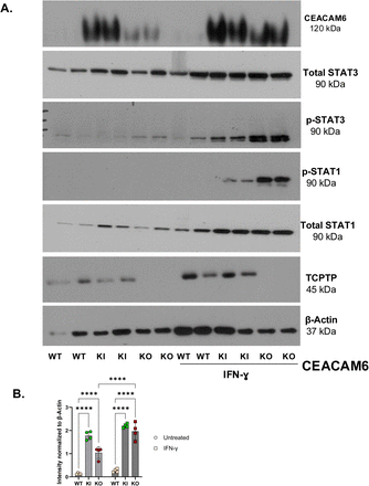 Supplementary Figure 3: