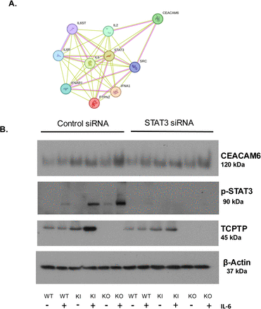 Supplementary Figure 4: