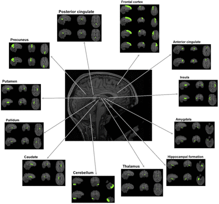 Figure 1: