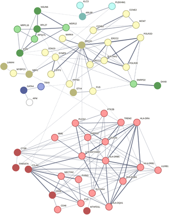 Figure 4: